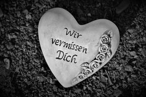 Quelle: Pexels/Pixabay